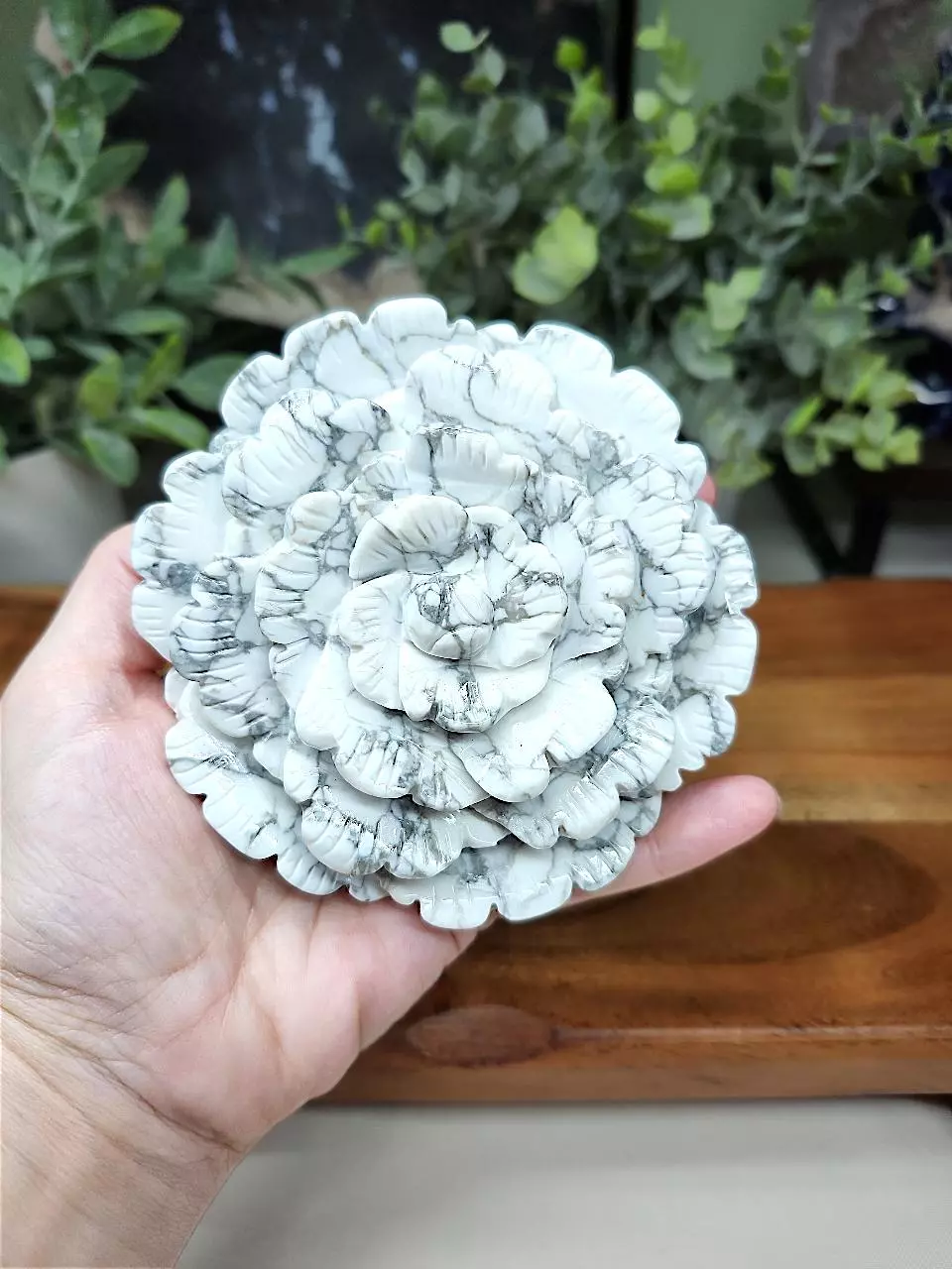 plant/Howlite large flower-0