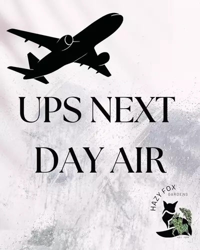 plant/UPS Next Day Air Upgrade-0-thumbnail