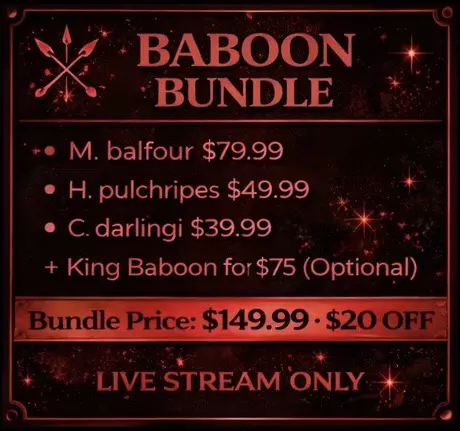 plant/Baboon Bundle-0