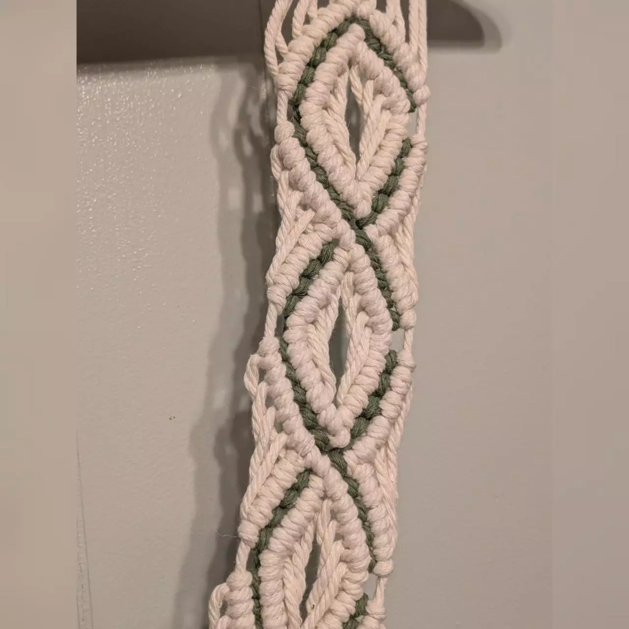 plant/#446 Plant hanger with avocado accent-1