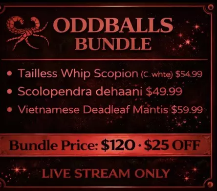 plant/Oddballs Bundle-0