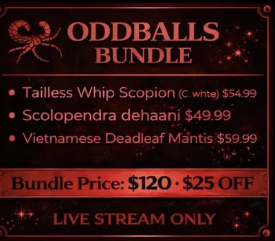 plant/Oddballs Bundle-0-thumbnail