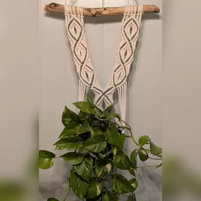 plant/#446 Plant hanger with avocado accent-0-thumbnail