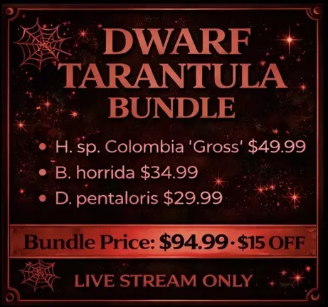 plant/Dwarf Bundle-0