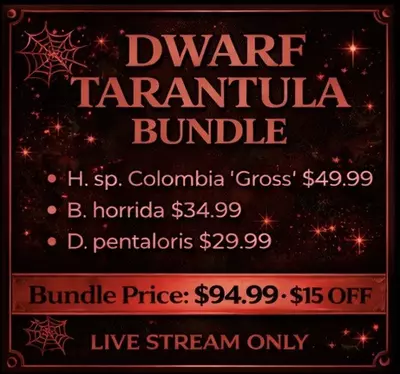 plant/Dwarf Bundle-0-thumbnail