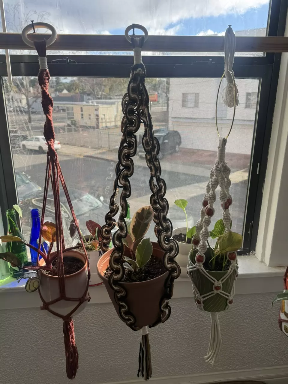 plant/neutral wiggle plant hanger-1