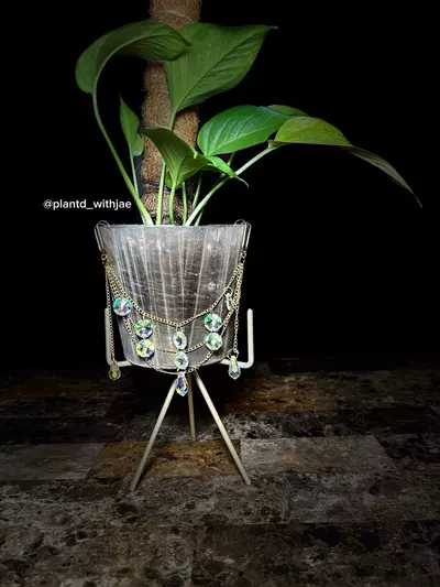 plant/Dazzling planter gem-4-thumbnail