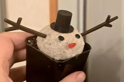 plant/SNOWMAM 🥹-0-thumbnail