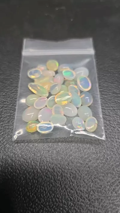 plant/8$ opals-0-thumbnail