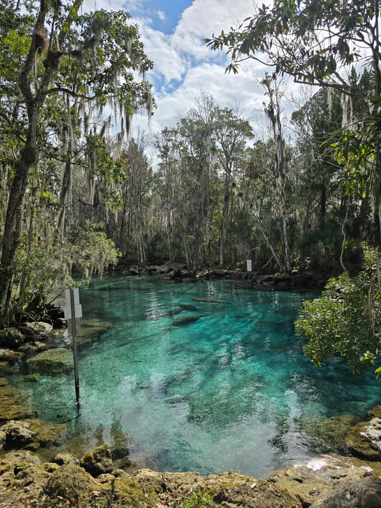 heat_pack/Shipping-0