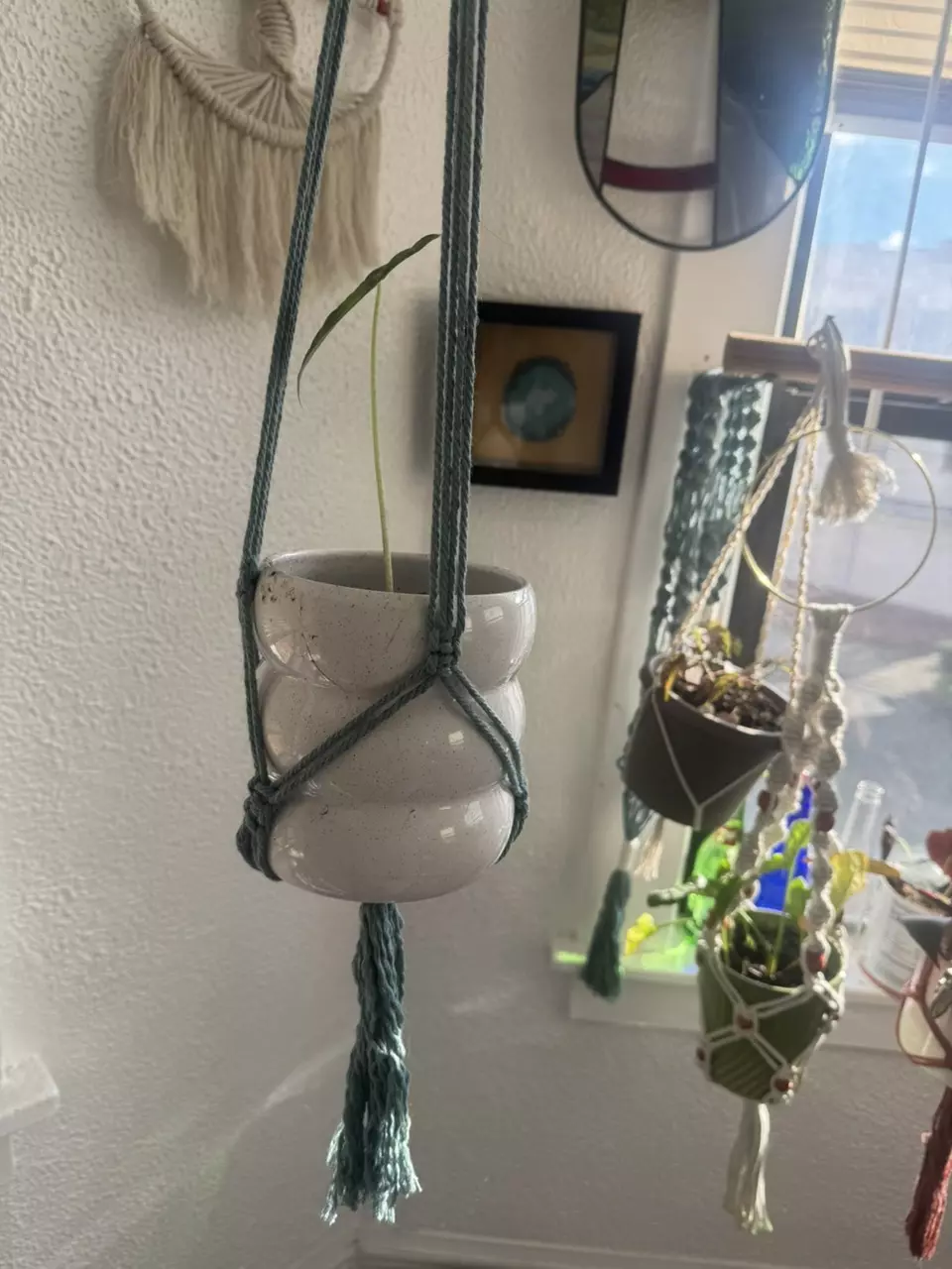 plant/blue macrame plant hanger-2