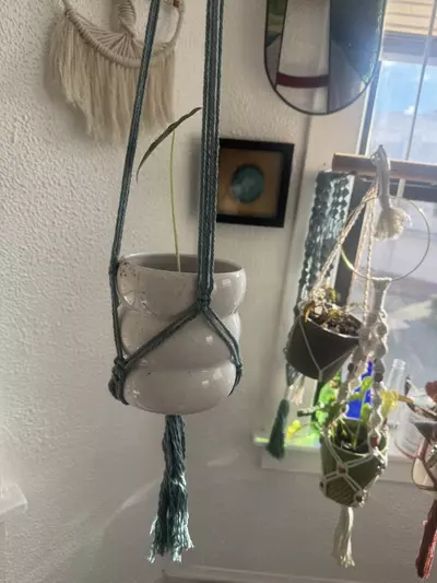plant/blue macrame plant hanger-2-thumbnail