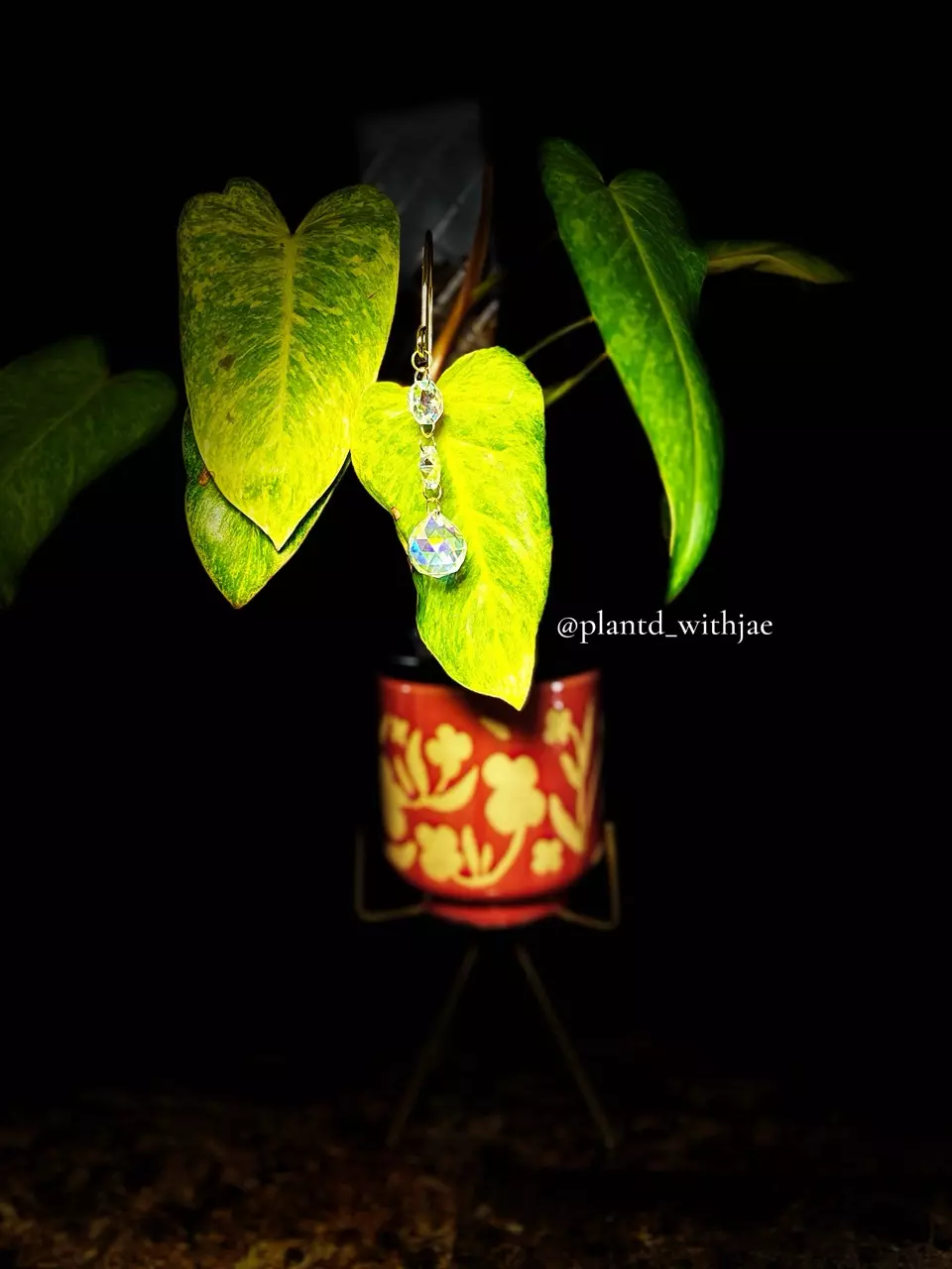 plant/Dazzling glow plant stake-1