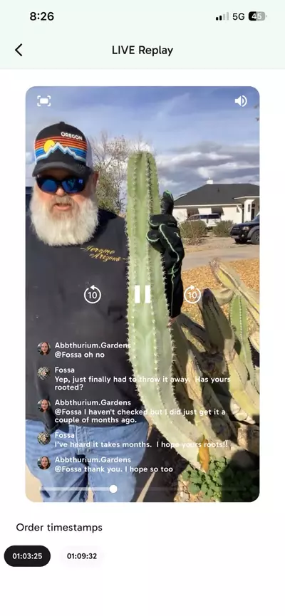 plant/3 foot Woolly Rhino cutting-0-thumbnail