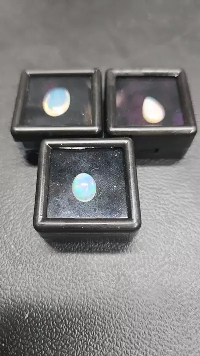 plant/18$ opals-0-thumbnail