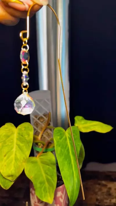 plant/Dazzling glow plant stake-2-thumbnail