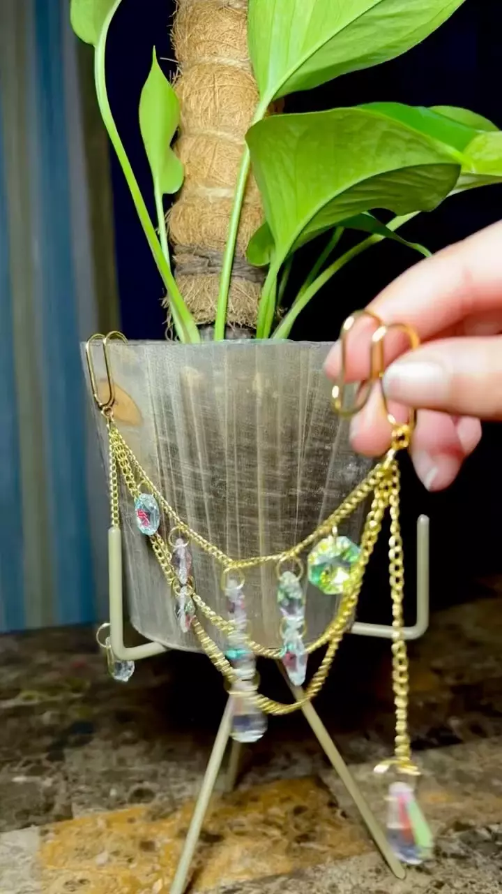 plant/Dazzling planter gem-6