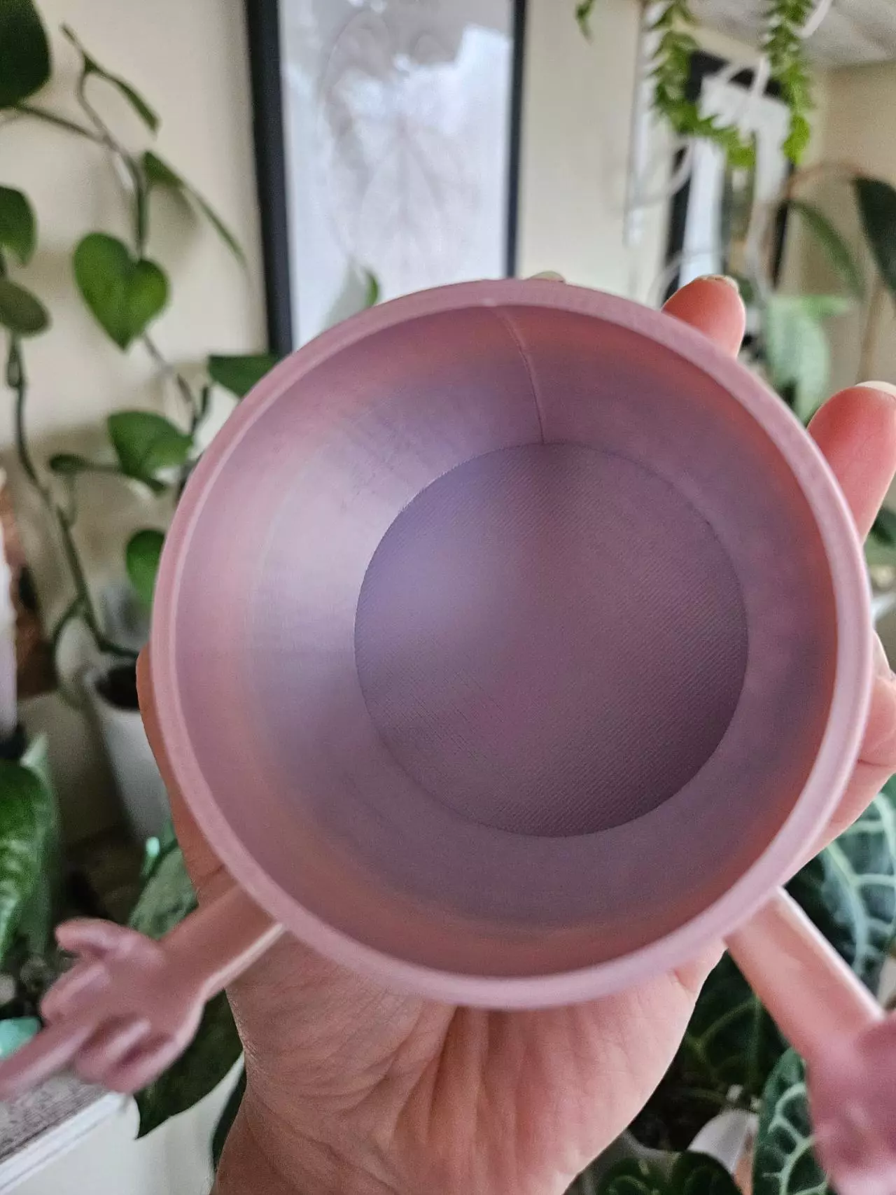 plant/F.u. cache pot pastel rainbow-1