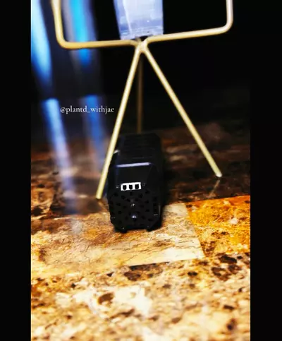 plant/SproutJoy mini pot-0-thumbnail