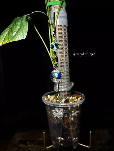 plant/Dazzling glow plant stake-7-thumbnail