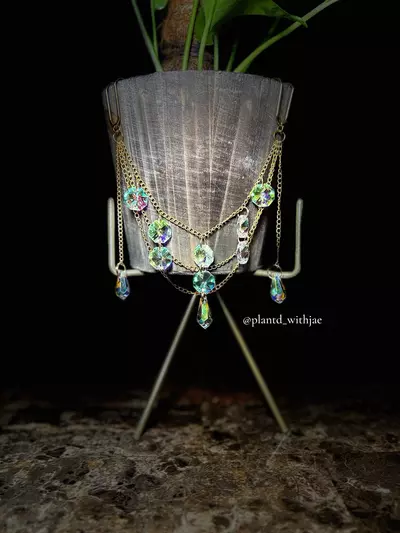 plant/Dazzling planter gem-1-thumbnail