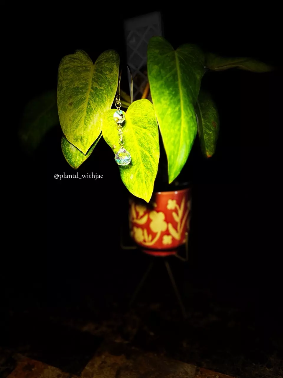 plant/Dazzling glow plant stake-0