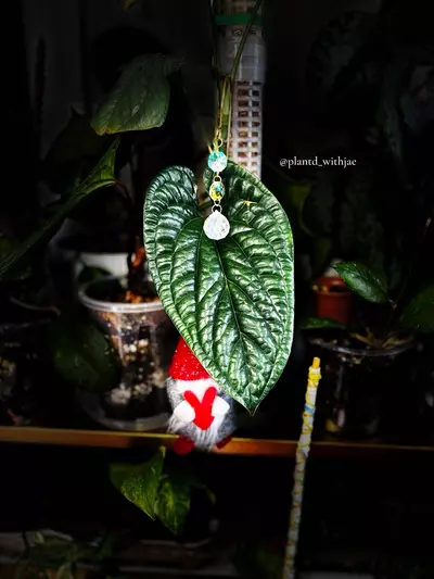 plant/Dazzling glow plant stake-3-thumbnail