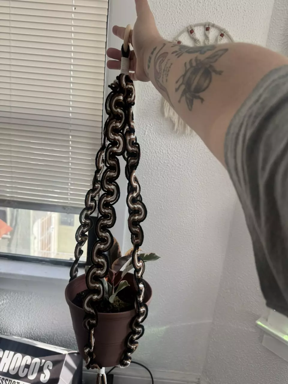 plant/neutral wiggle plant hanger-0