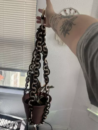 plant/neutral wiggle plant hanger-0-thumbnail