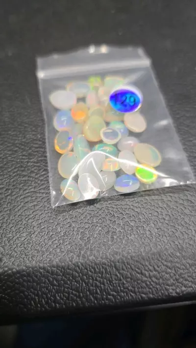 plant/8$ opals-1-thumbnail