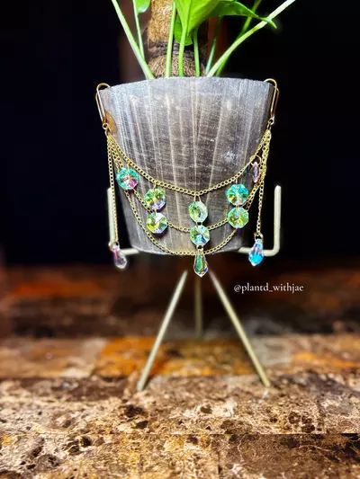 plant/Dazzling planter gem-5-thumbnail