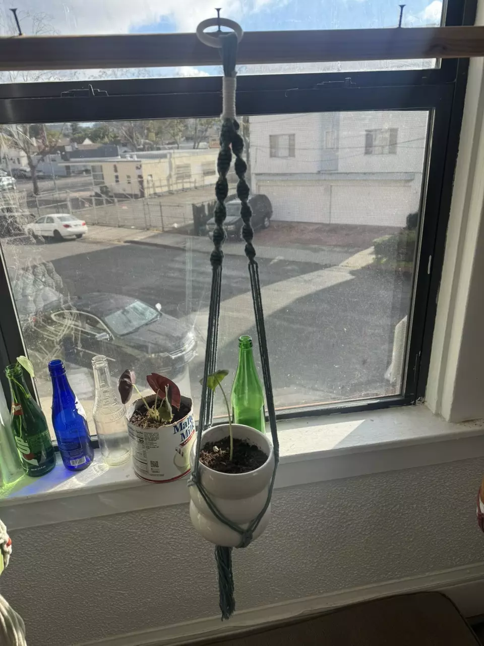 plant/blue macrame plant hanger-0