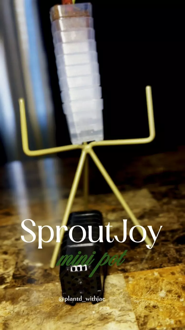 plant/SproutJoy mini pot-8