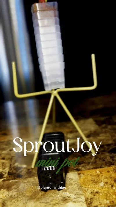 plant/SproutJoy mini pot-8-thumbnail
