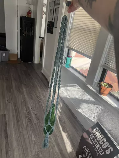 plant/blue macrame plant hanger-0-thumbnail