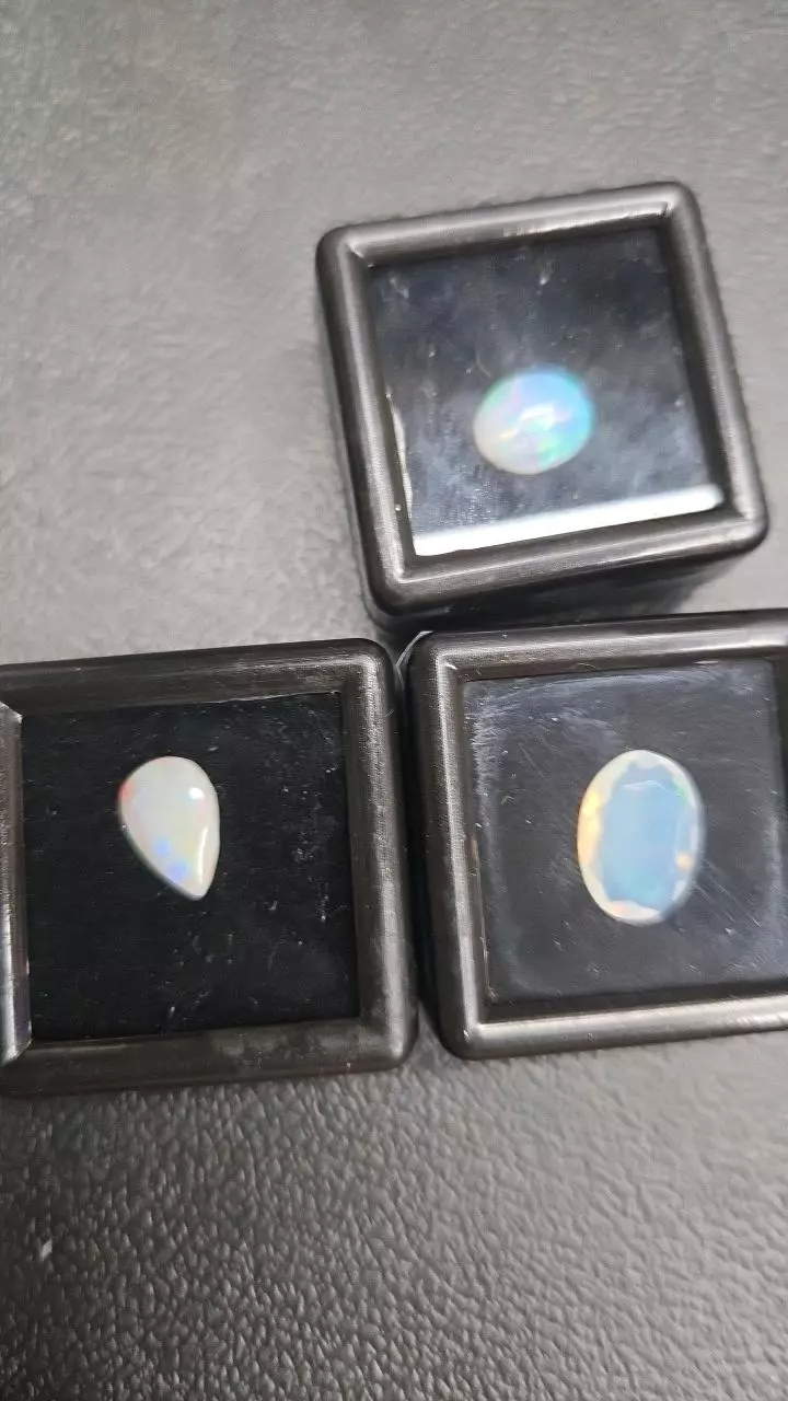 plant/18$ opals-1