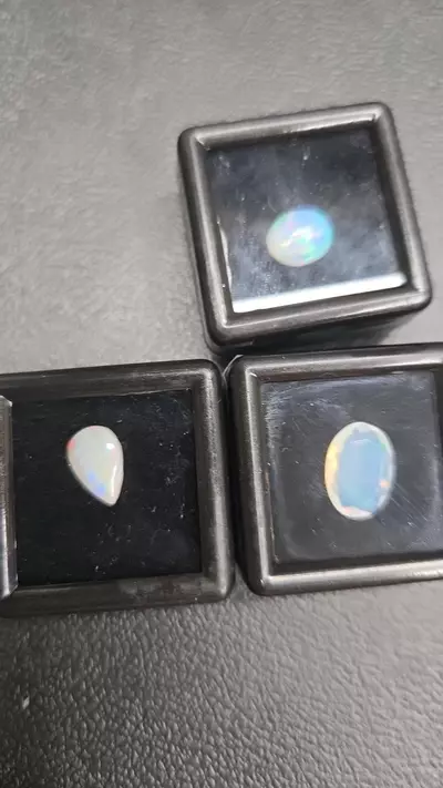 plant/18$ opals-1-thumbnail