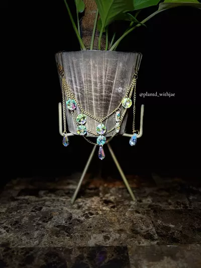 plant/Dazzling planter gem-2-thumbnail