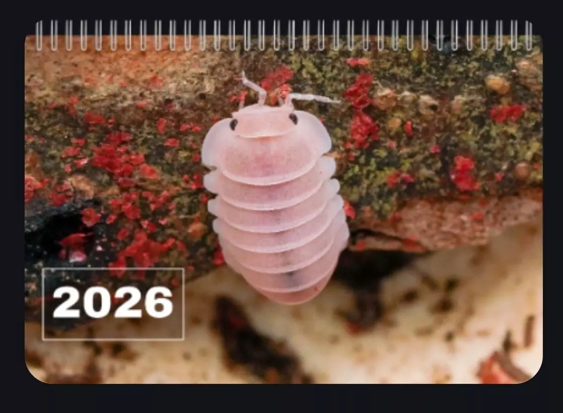 plant/2026 Calendar-0