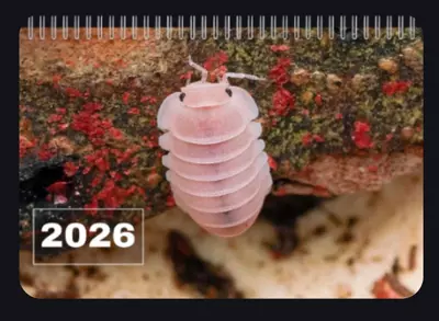 plant/2026 Calendar-0-thumbnail