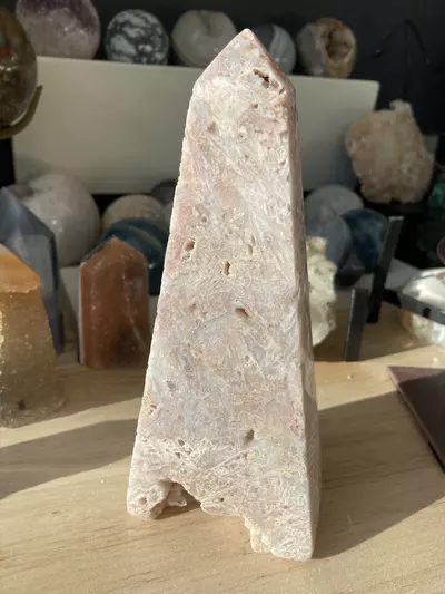 plant/Pink amethyst lace tower-1-thumbnail