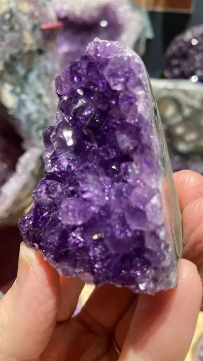 plant/Mini amethyst cut base-0-thumbnail