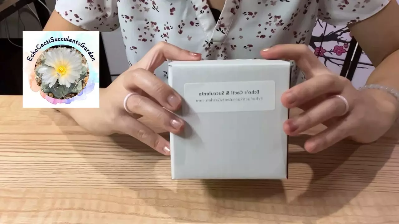 plant/Seed kit- Everything you need to start your seed growing journey-1