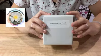 plant/Seed kit- Everything you need to start your seed growing journey-1-thumbnail