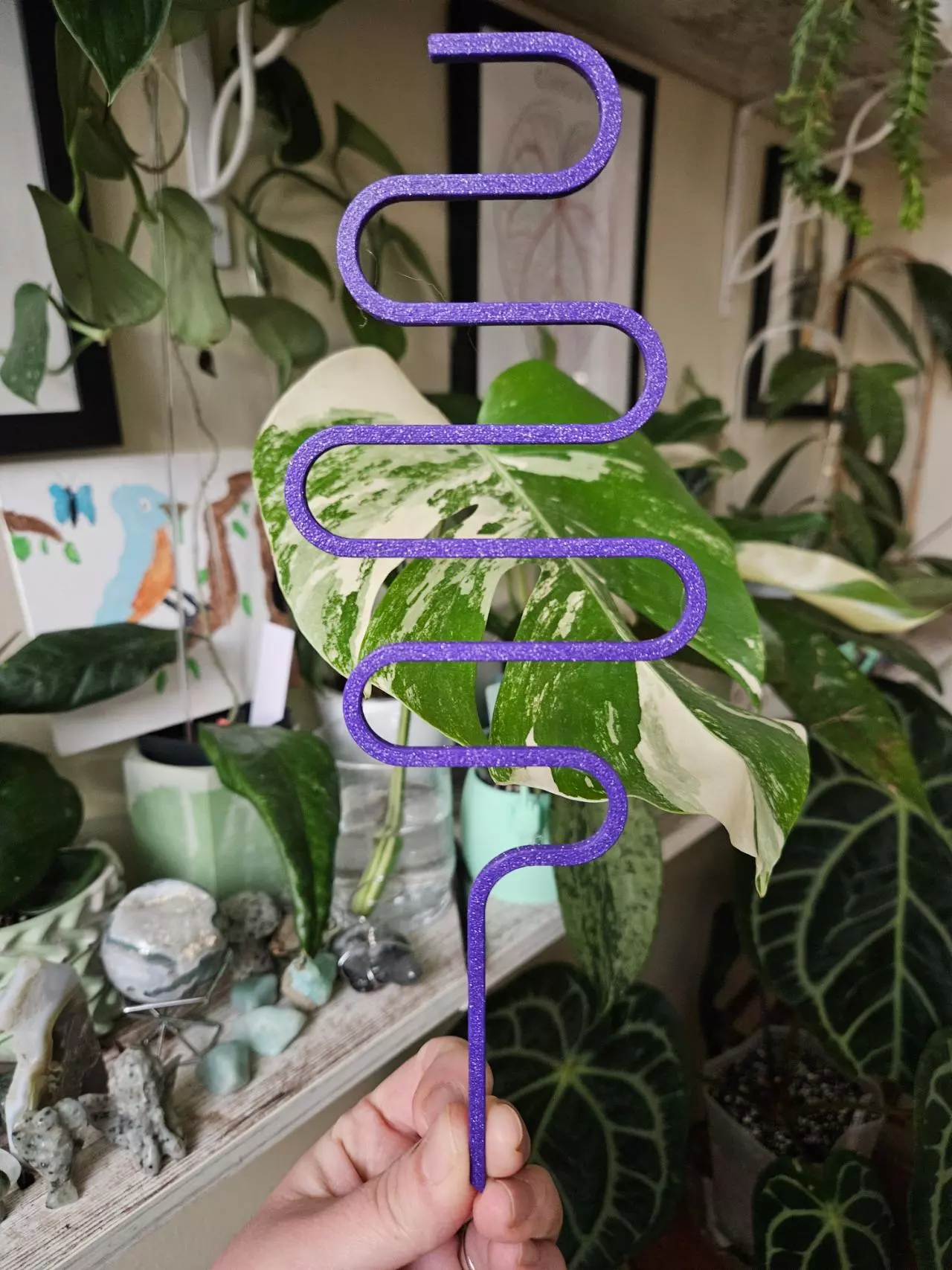 plant/Purple sparkle trellis-0