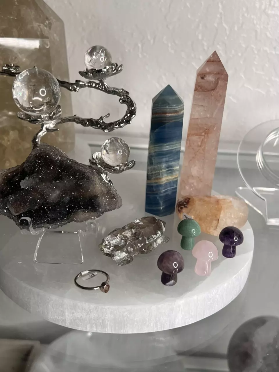 plant/$193 Value Bundle-0