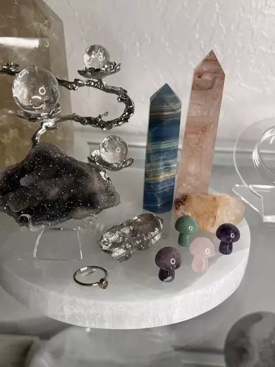 plant/$193 Value Bundle-0-thumbnail