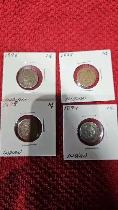plant/4 Indian Head Penny's-0-thumbnail