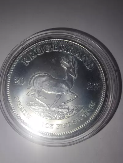 plant/2022 South African 1 oz Silver Krugerrand coin.-0-thumbnail