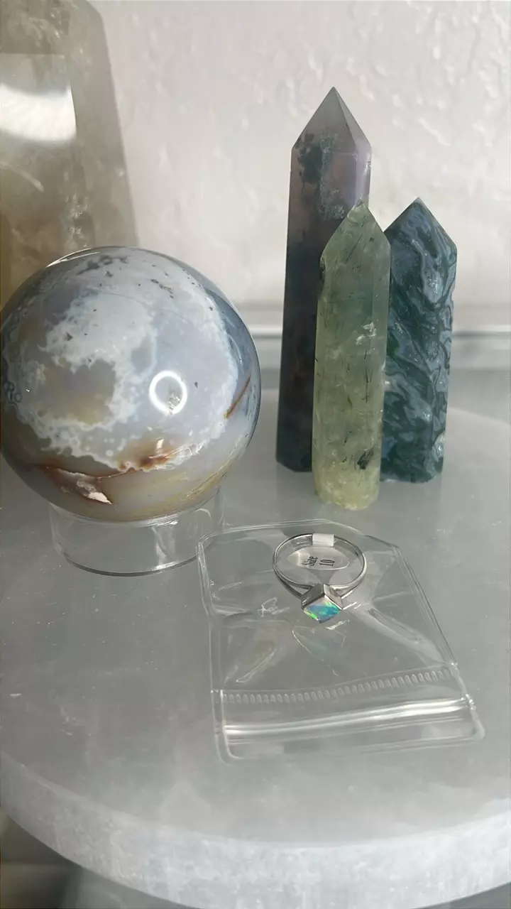 plant/$191 Value Bundle TYSM-0